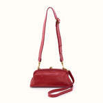 Alba Frame Small Shoulder In Polished Leather