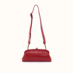 Alba Frame Small Shoulder In Polished Leather