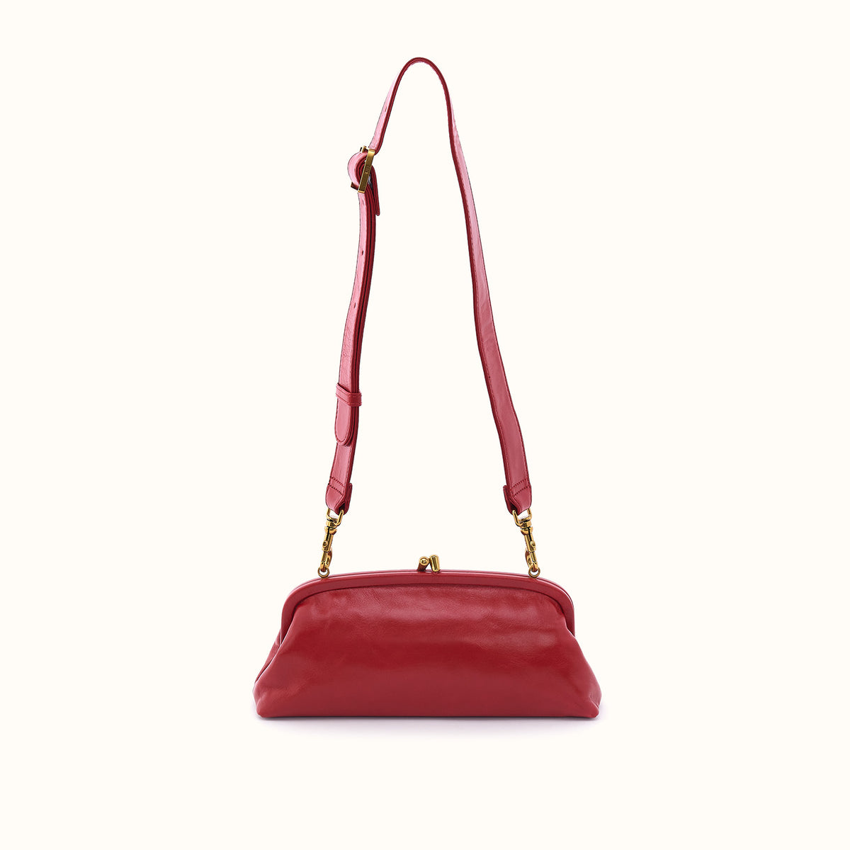 Alba Frame Small Shoulder In Polished Leather